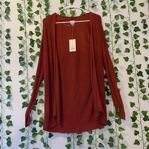 Target rust cardigan.